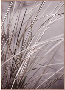 Постер с включена рамка 50x70 cm Mellow Grasses 1 – Malerifabrikken