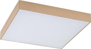 Rabalux 77000 - LED таванно осветително тяло за баня TARTU 24W/230V 2800/4000/6000K IP44