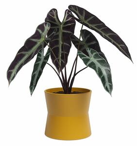 Керамична саксия за цветя ø 14 cm Diana – Artevasi
