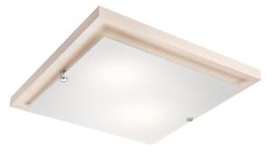 Плафон 1xE27/60W/230V за таванен монтаж