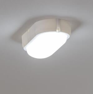 Brilagi - LED Индустриална лампа SIMA LED/12W/230V IP65 бяла