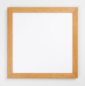 Eglo 99471 - LED таванен осветител PIGLIONASSO LED/20W/230V 500x500 mm
