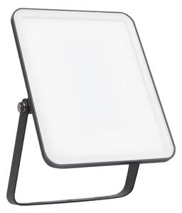 Ledvance - LED Екстериорен стенен прожектор FLOODLIGHT LED/30W/230V 6500K IP65