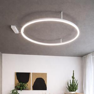 Ideal Lux - LED таванно осветително тяло ORACLE SLIM LED/53W/230V 4000K Ø 90 см бяло