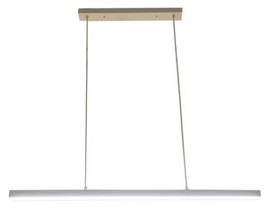 Brilagi - LED полилей на кабел AXIS LED/30W/230V 120 см бял