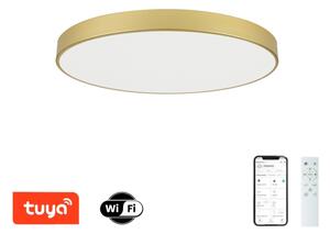 Brilagi - димируемо LED осветително тяло POOL SMART LED/100W/230V 80 см златно Wi-Fi Tuya+дистанционно