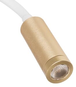 Kanlux 32518 - LED гъвкава настолна лампа TONIL LED/3,3W/230V бяла/златна