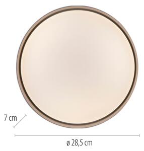 Schöner Wohnen 14593-39 - LED димируемо таванно осветително тяло TAVOLI LED/10W/230V, сиво, с дистанционно управление
