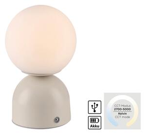 Schöner Wohnen 19218-39 - LED димируема настолна лампа RUDI LED/1,2W/5V сива