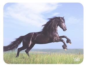 Подложка за мишка TnB TSHORSES, рисунка, 220 x 180 x 3 мм