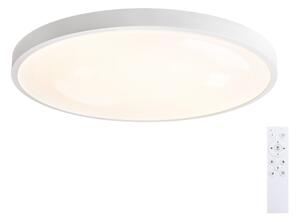 Brilagi - Димируемо LED осветително тяло GLASS POOL DOUBLE LED/80W/230V 60 см бяло + дистанционно управление