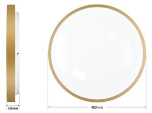 Brilagi - Димируемо LED осветително тяло GLASS POOL DOUBLE LED/48W/230V 40 cm златисто + с дистанционно управление