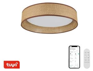 Immax NEO 07288L - LED+CCT димируемо таванно осветително тяло LONA 36W/230V Ø 45,5 cm с дистанционно управление