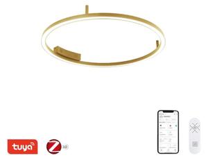 Immax NEO 07291-80G - LED+CCT с възможност за димиране таванен плафон FINO 55W/230V Tuya Ø 80 см + дистанционно управление