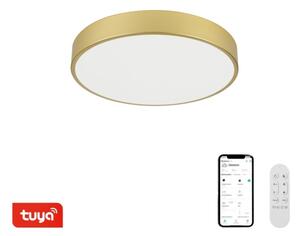 Immax NEO 07292L - LED+CCT димируем плафон SEMPLICI 36W/230V Ø 40 см + дистанционно управление