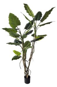 Изкуствено цвете (височина 190 cm) Alocasia – Bizzotto