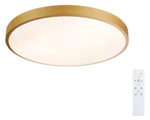 Brilagi - LED димируемо осветително тяло GLASS POOL DOUBLE LED/60W/230V 50 cm златно + дистанционно управление