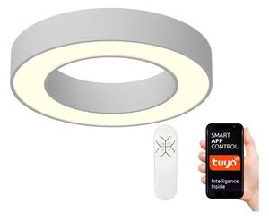Immax NEO 07095L - LED Димируема лампа PASTEL LED/52W/230V 60см