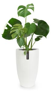 Fox & Fern Саксия Almere Fibre Stone, идеална за растения, ръчно изработена, конусовидна