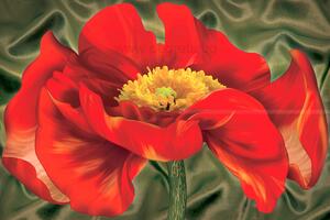 Фототапет Мак
