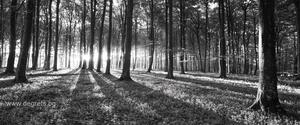 Фототапет флис Черно-бяла гора