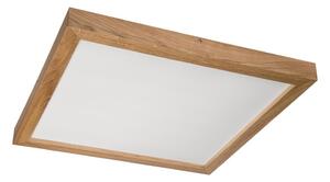 Brilagi - LED осветително тяло за баня WOODY FRAME LED/40W/230V 60x60 cm IP44 дъб
