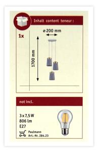 Paulmann 79627 - Висящ полилей NORELL 3xE27/20W/230V бетон