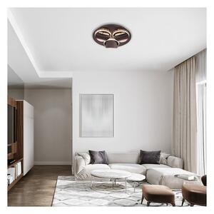 Rabalux 5050 - димируемо LED таванно осветително тяло CAPRIANA LED/18W/230V