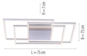 Paul Neuhaus 8256-55 - LED Димируема Таванна лампа INIGO 3xLED/16W/230V