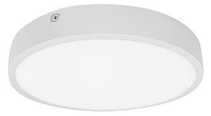 Palnas 61003580 - LED Лампа за баня EGON LED/30W/230V IP44 3000K