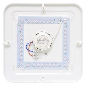 Външно LED осветление за таван LUKA LED/42W/230V IP44