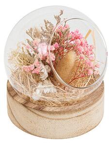 Декоративни цветя atmosphera Pria , 15 cm