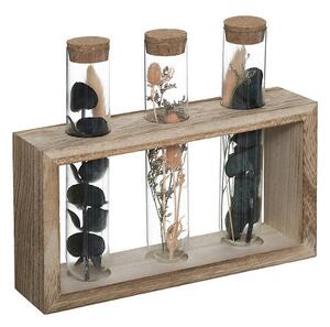 Декоративни цветя atmosphera House, 17 cm