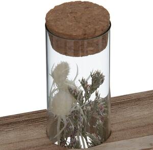 Декоративни цветя atmosphera House, 17 cm