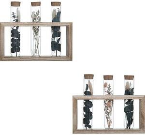 Декоративни цветя atmosphera House, 17 cm