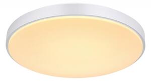 Globo 41586-24 - LED Димируем плафон SONNY LED/24W/230V + д.у