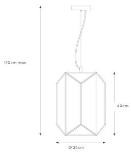 Lucide 25407/01/30 - Висящ полилей FERN 1xE27/60W/230V