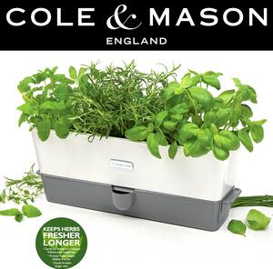 COLE & MASON Самополиваща се кашпа за зелени подправки или цветя