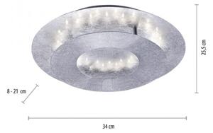 Paul Neuhaus 9011-21 - LED Лампа NEVIS LED/6W/230V сребриста