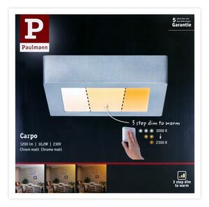 Paulmann 79791 - LED/10,2W Лампа CARPO 230V 2300-3000K