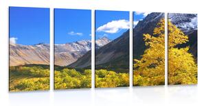 Картини от 5 части – Великолепна природа на Камчатка в Русия