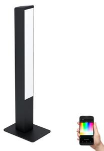 Eglo 99604 - LED RGBW Димируема настолна лампа SIMOLARIS-Z LED/16W/230V 2700-6500K
