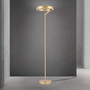 Orion - LED стояща лампа с възможност за димиране KOLK LED/40W/230V 2700/4000K златиста