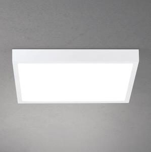 Orion - LED димируемо таванно осветително тяло DISC LED/30W/230V 2700/3000/4000K 39x39 cm бяло