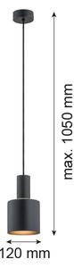 Argon 4219 - Висящ полилей SINES 1xE27/15W/230V Ø 12 cм черен