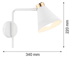Argon 8006 - Аплик AVALONE 1xE27/15W/230V 34 см бял/златист