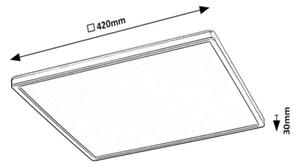 Rabalux 2291 - LED RGB Димируем плафон RASMUS LED/22W/230V + д.у