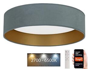 Brilagi - LED Димируем плафон VELVET SMART LED/24W/230V Wi-Fi Tuya + д.у