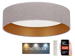 Brilagi - LED Димируем плафон VELVET SMART LED/24W/230V Wi-Fi Tuya + д.у