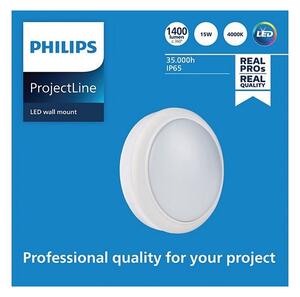 Philips - LED Аплик PROJECTLINE LED/15W/230V IP65